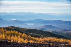 1_F3528FDE-1EF9-427A-86EF-522E909F63A8