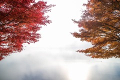 C384DED0-ED61-42DE-A0EC-B60374FF693F