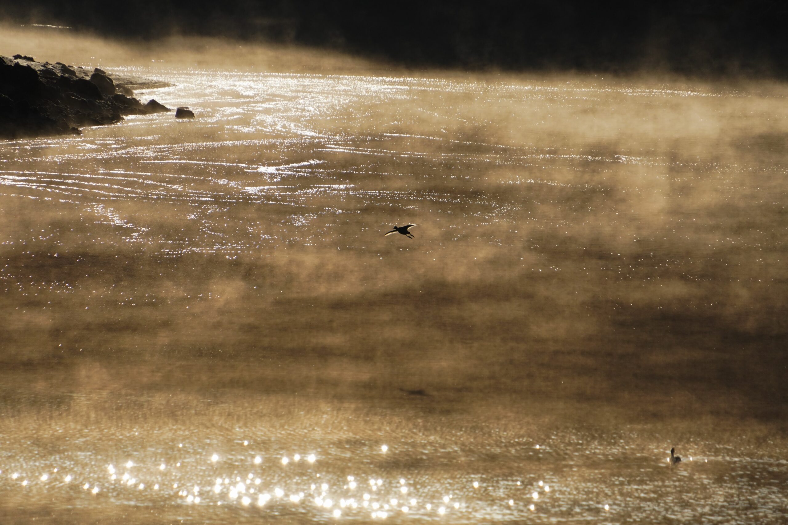 the Sea of Mist on Lake Saiko